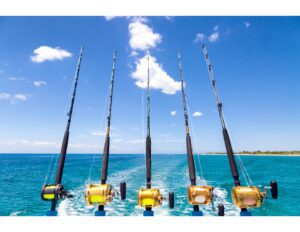 cinco cañas de pescar en el mar abierto